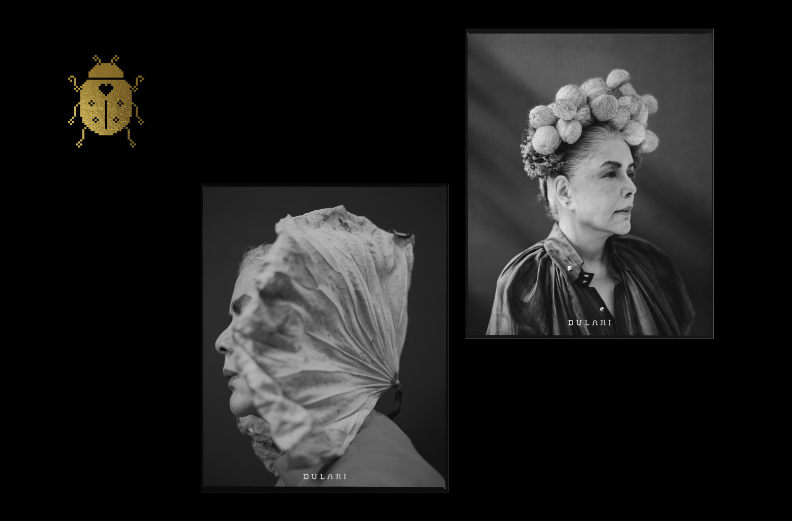 Dulari Website Final-11