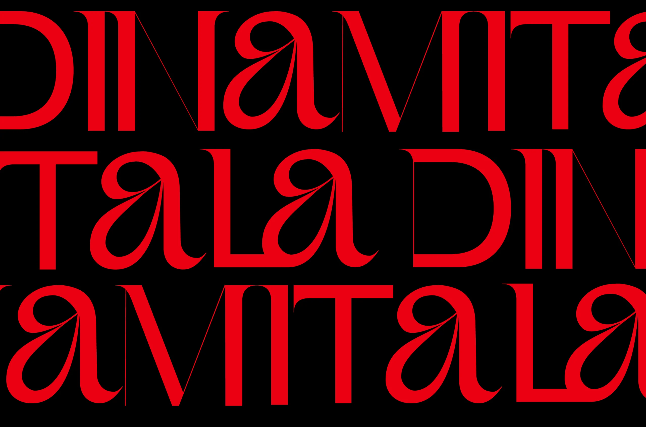 dinamita 11